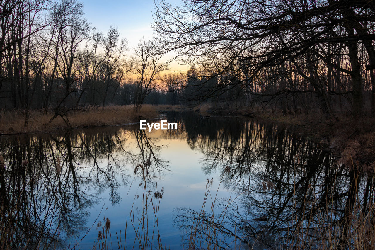 REFLECTION OF SILHOUETTE TREES IN LAKE AGAINST SKY DURING SUNSET