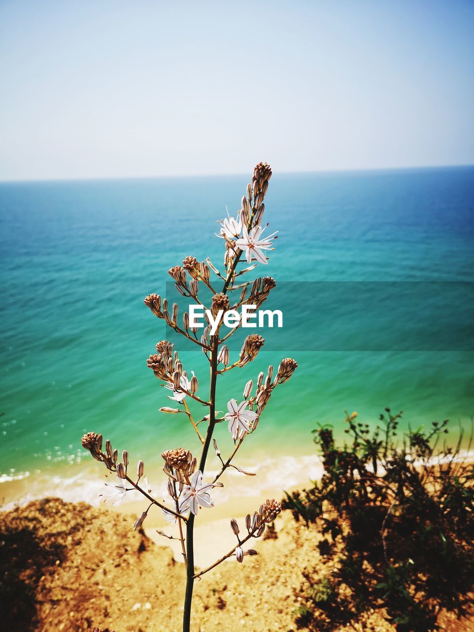 SCENIC VIEW OF SEA AGAINST SKY DURING DUSK