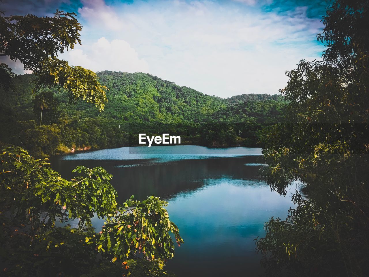 Scenic view of lake in forest against sky