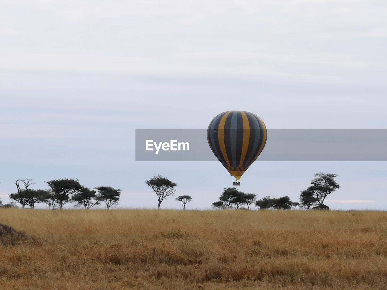 HOT AIR BALLOONS ON FIELD