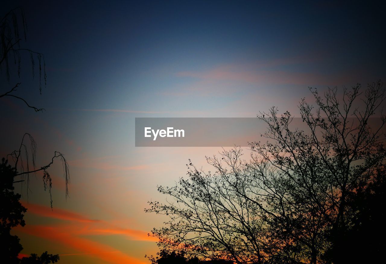 LOW ANGLE VIEW OF SILHOUETTE TREE AGAINST SKY AT SUNSET