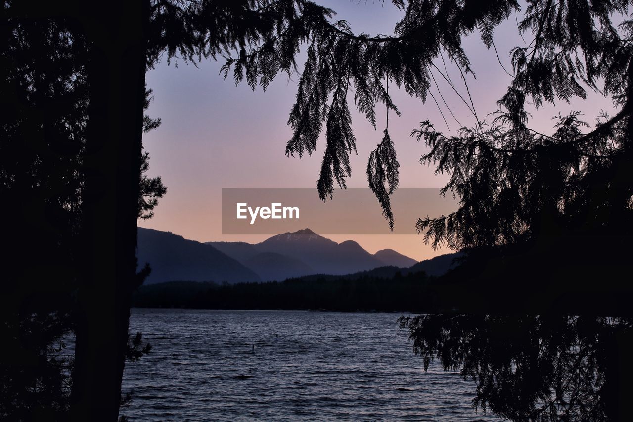 Silhouette trees by lake against sky during sunset