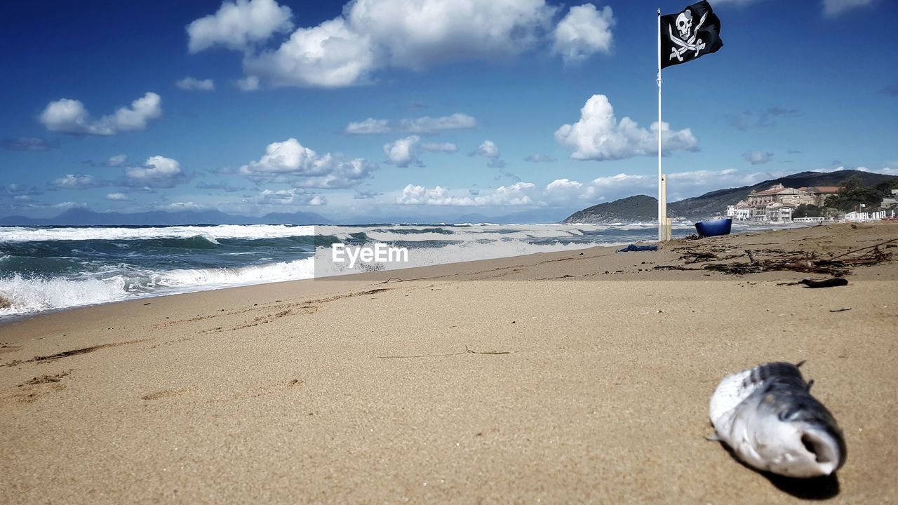 Scenic view of beach against sky