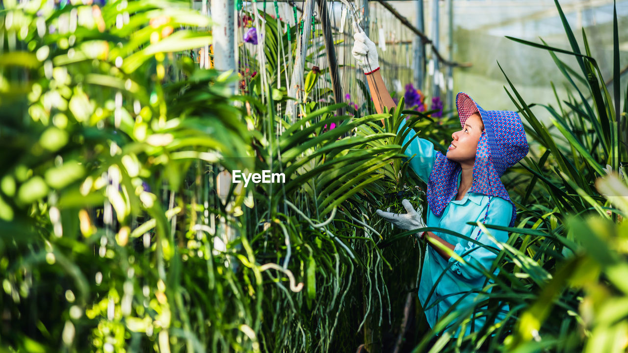 Female researcher examining plants in greenhouse