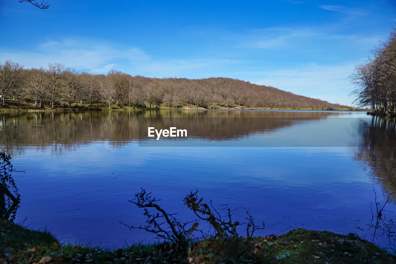 reflection, water, nature, body of water, lake, tree, sky, plant, scenics - nature, wilderness, beauty in nature, tranquility, reservoir, tranquil scene, blue, no people, landscape, environment, land, non-urban scene, forest, mountain, autumn, travel destinations, cloud, outdoors, day, idyllic, travel, tourism, beach, pine tree, pinaceae, animal wildlife