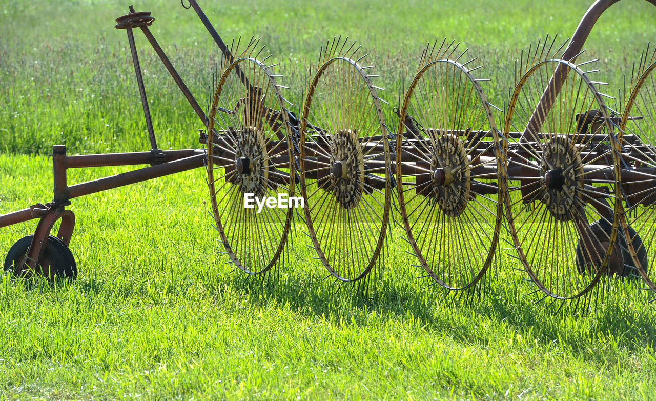 grass, plant, field, green, land, no people, nature, day, agriculture, growth, vehicle, metal, outdoors, lawn, landscape, cart, fence, tranquility