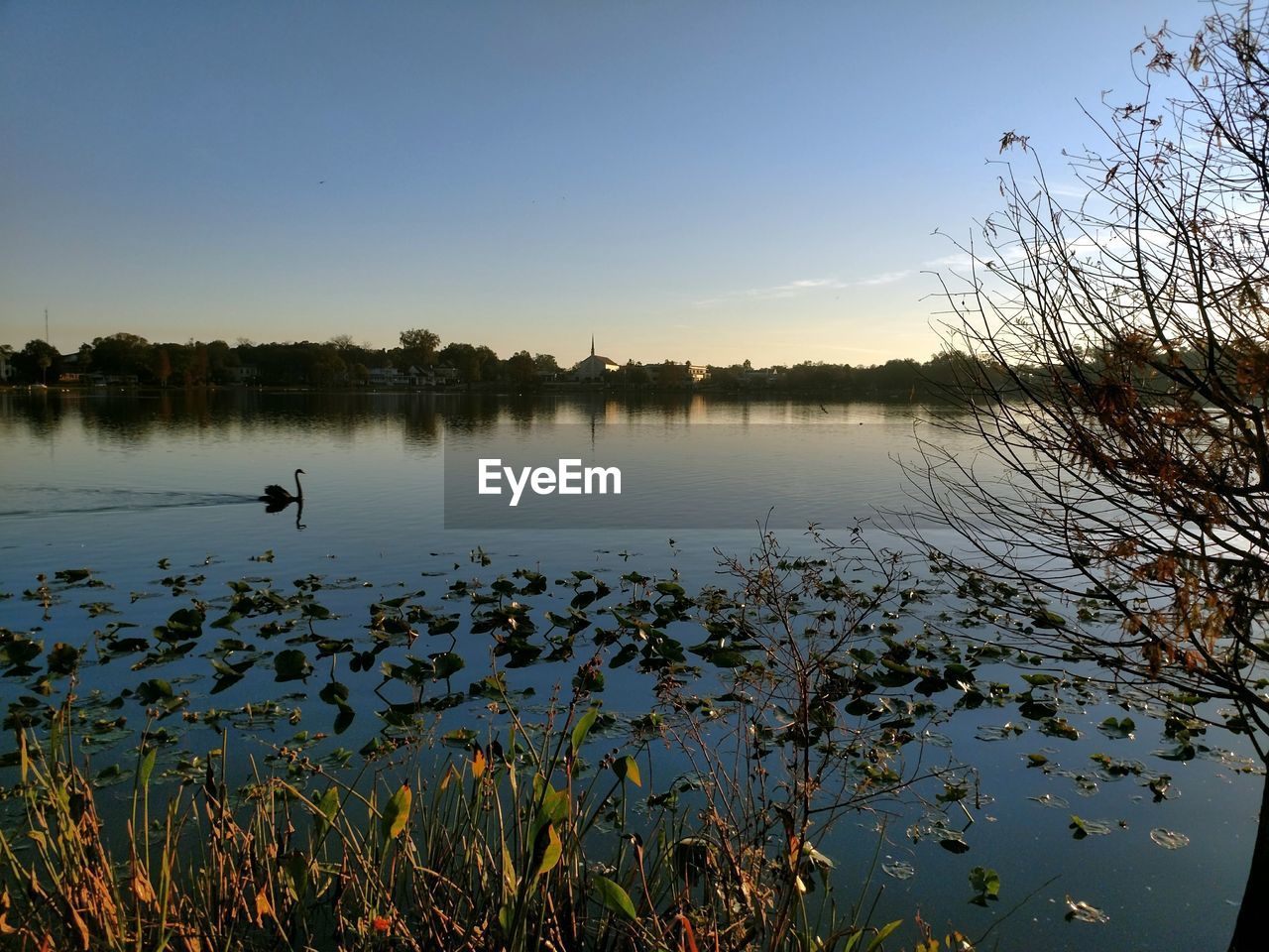 SCENIC VIEW OF LAKE