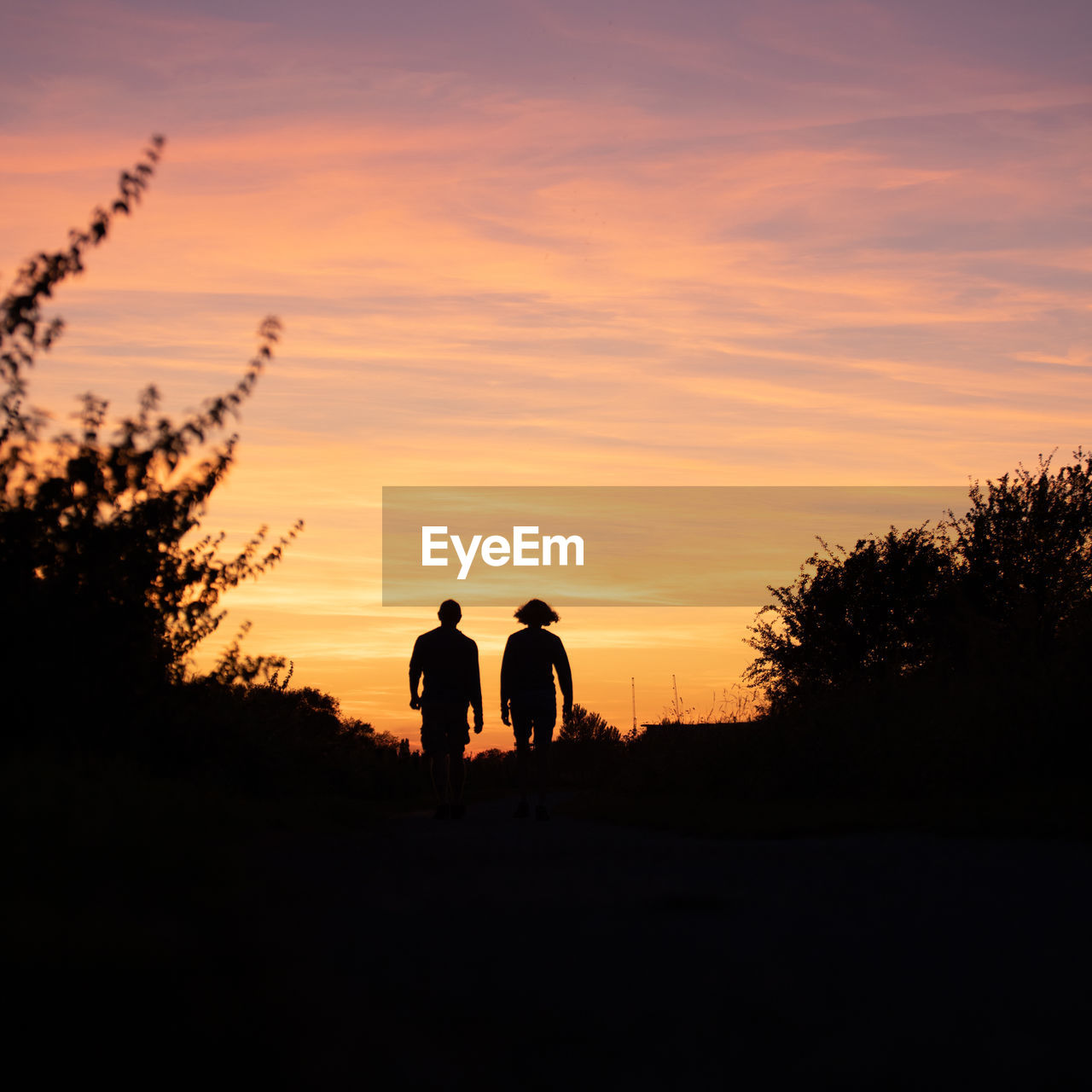 sunset, silhouette, sky, men, horizon, nature, dawn, two people, togetherness, adult, plant, orange color, beauty in nature, lifestyles, tree, leisure activity, women, evening, afterglow, cloud, land, scenics - nature, walking, outdoors, love, emotion, tranquility, bonding, positive emotion, landscape, tranquil scene