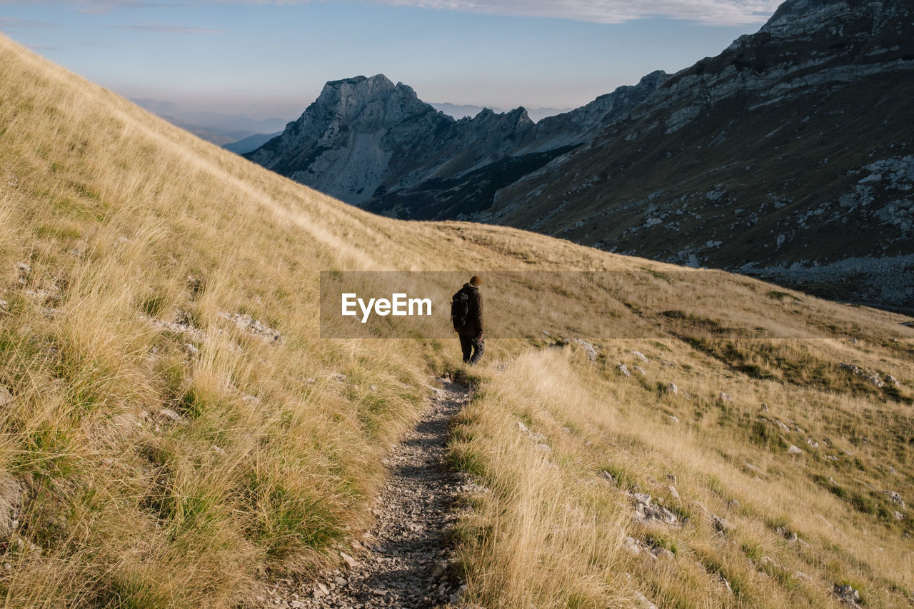 Rear view of person walking on trail