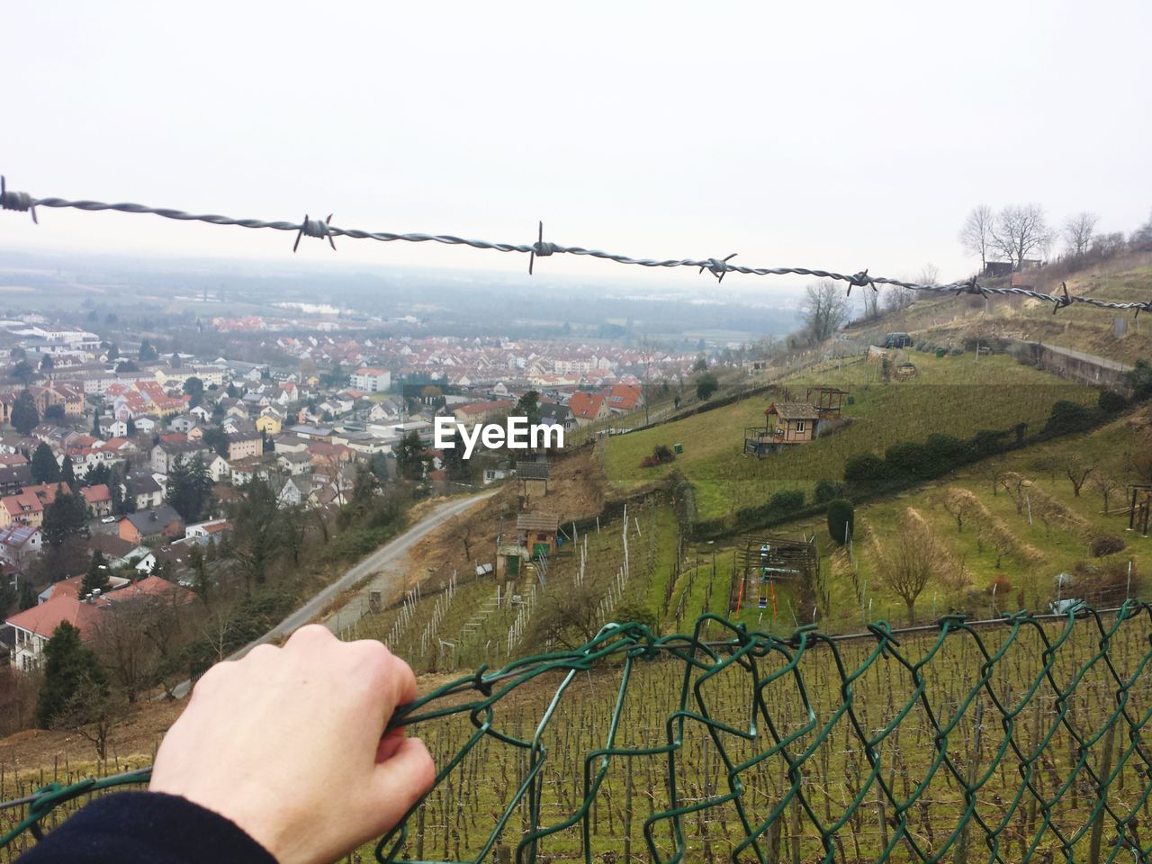 Cropped image of person hand holding chainlink fence in front of green hill
