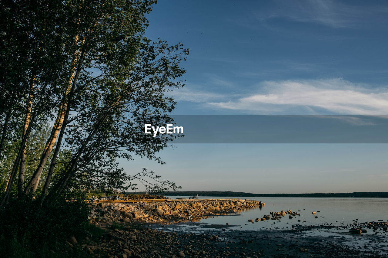 sky, water, nature, reflection, beauty in nature, morning, scenics - nature, plant, tranquility, sunlight, tree, cloud, sea, tranquil scene, land, horizon, dusk, no people, beach, environment, shore, outdoors, non-urban scene, idyllic, body of water, landscape, coast, day, blue, sunrise, horizon over water, travel destinations