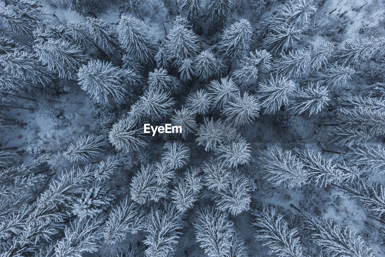 Full frame shot of snow covered field