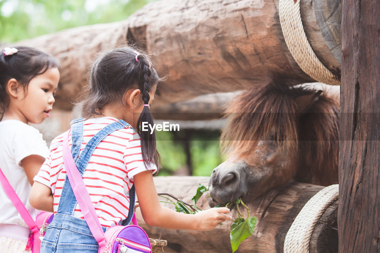 Cute siblings feeding pony