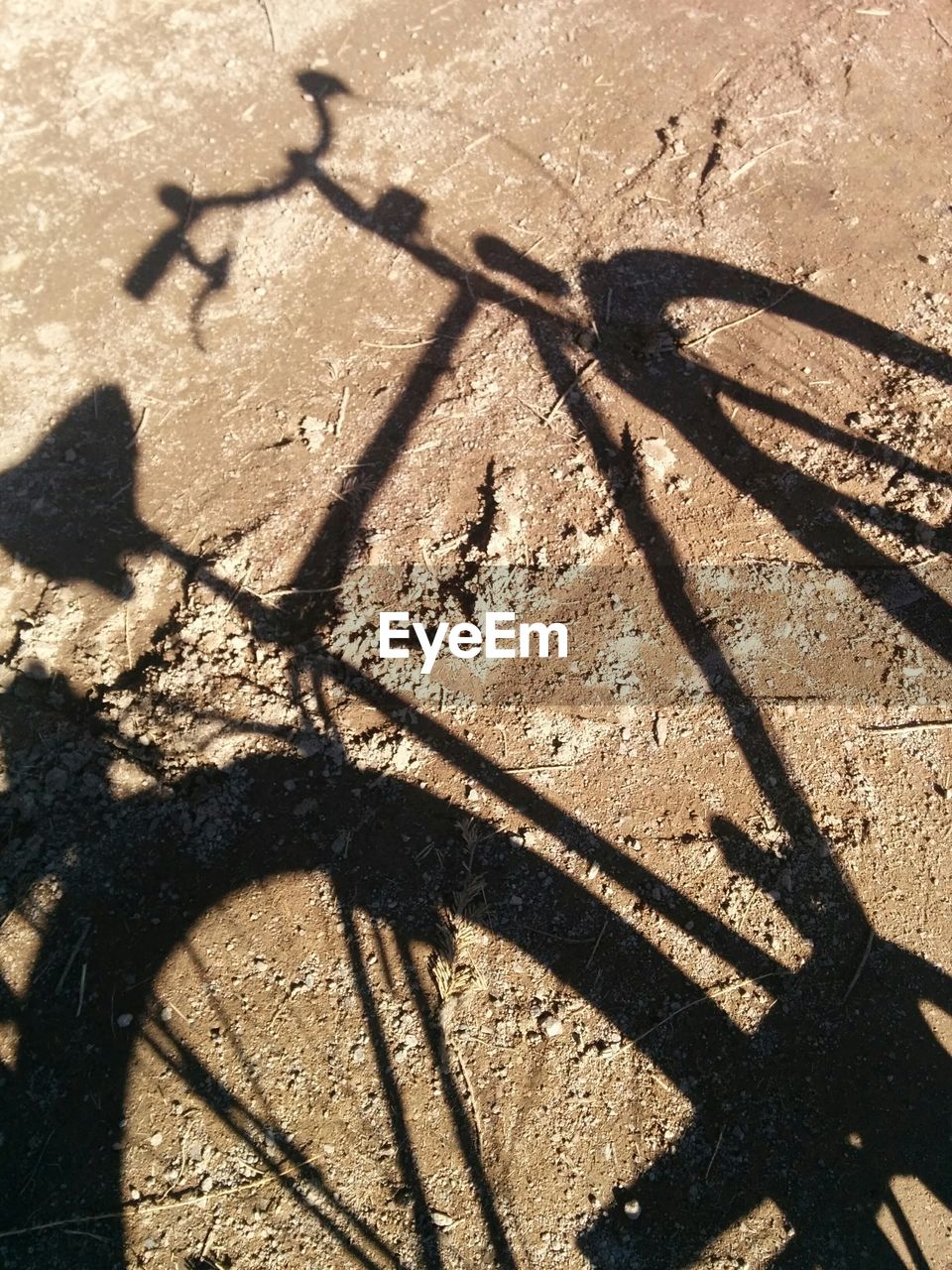 Close-up of bicycle shadow on road