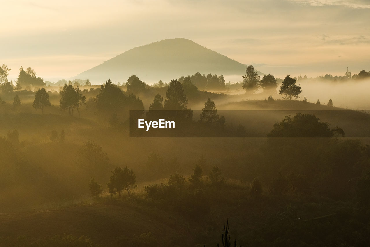 Panoramic shot of mountain landscape on a misty and foggy morning 
