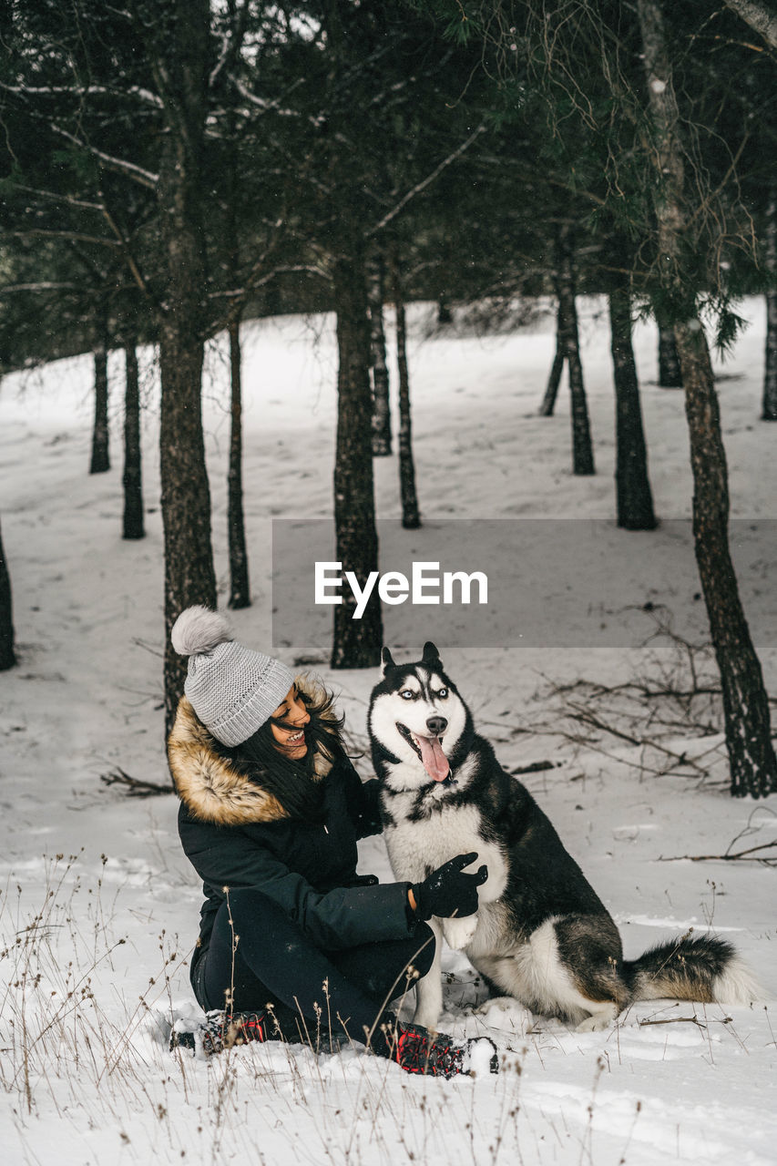 Young ethnic lady wearing outerwear hugging cute husky dog while crouching in snowy woods near green spruces in winter day