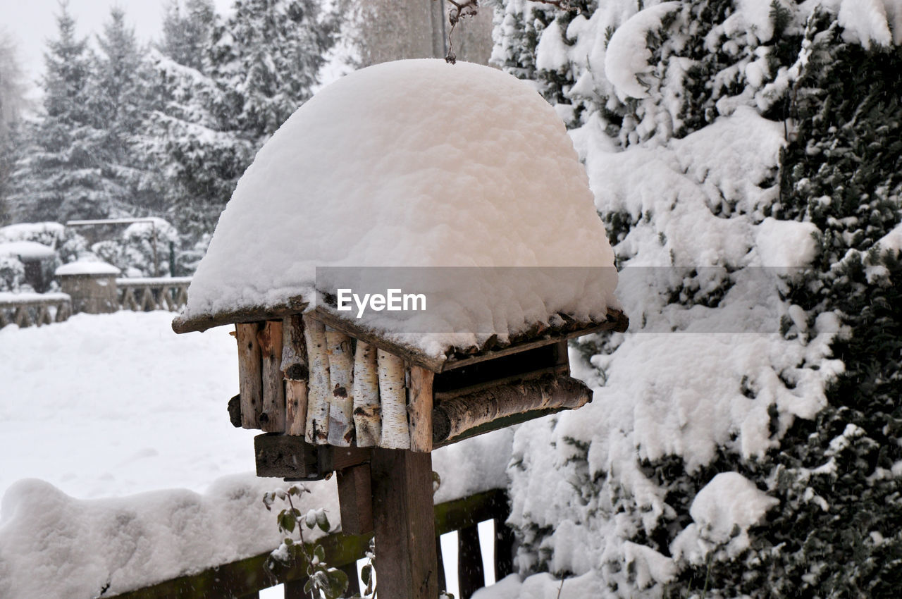 SNOW COVERED LAND BY TREES