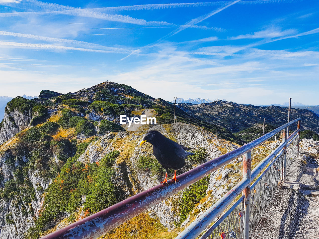 SCENIC VIEW OF MOUNTAIN SEEN THROUGH RAILING