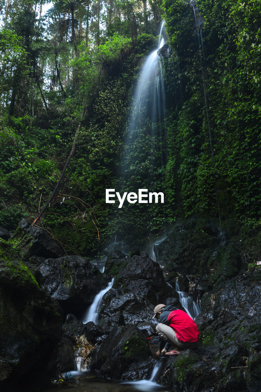 Waterfall in forest