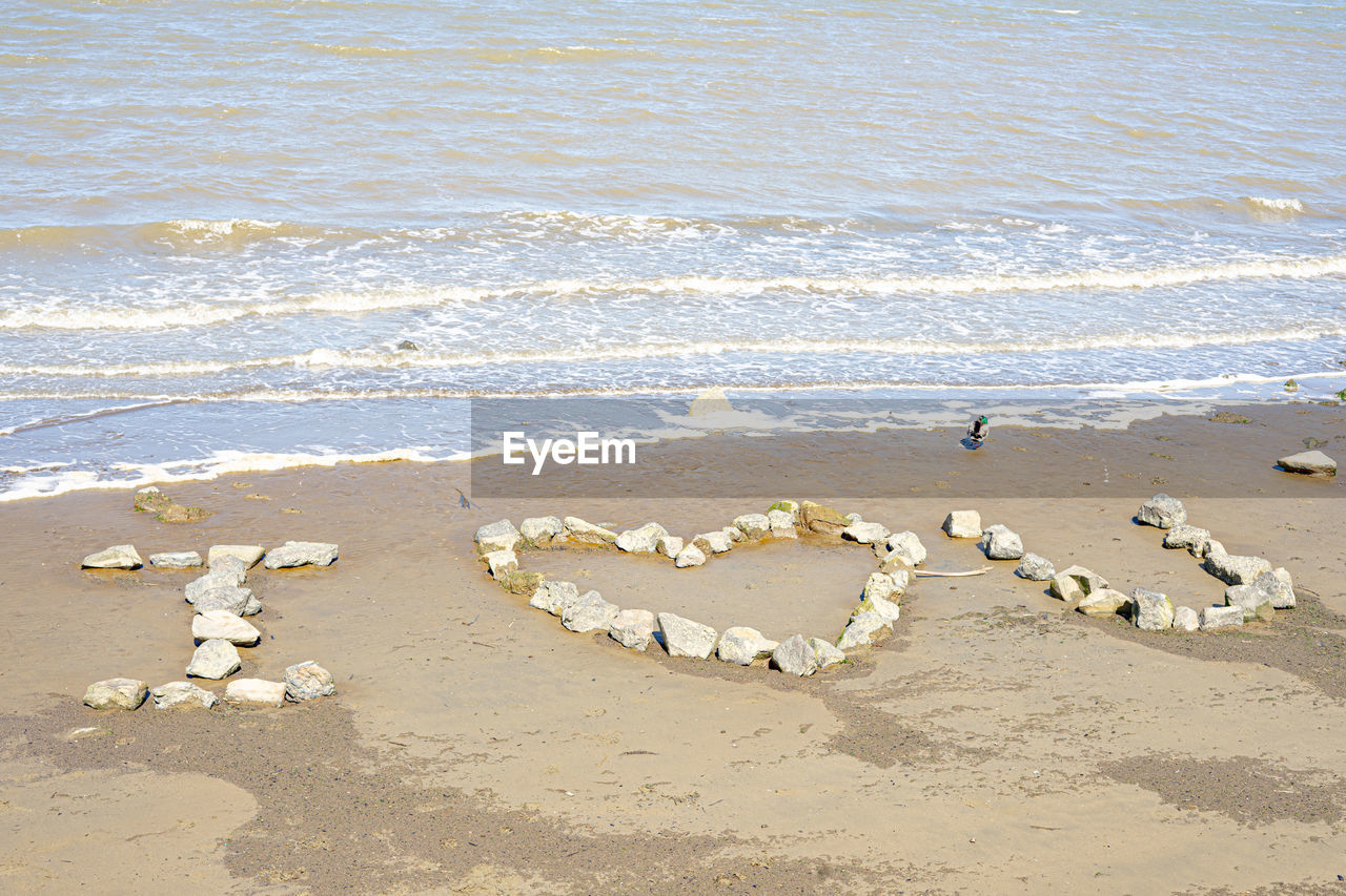 HIGH ANGLE VIEW OF SEAGULLS ON SHORE