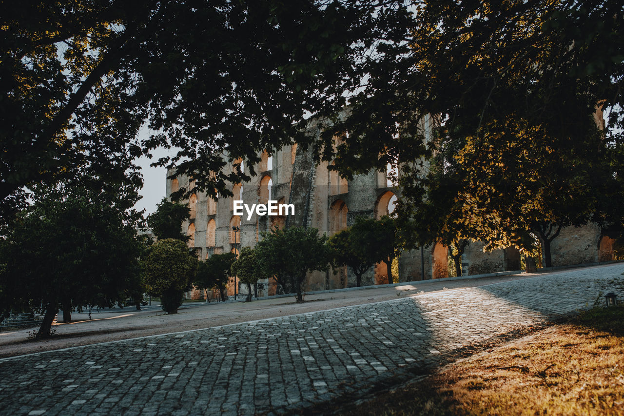 TREES BY SIDEWALK IN CITY AGAINST BUILDINGS