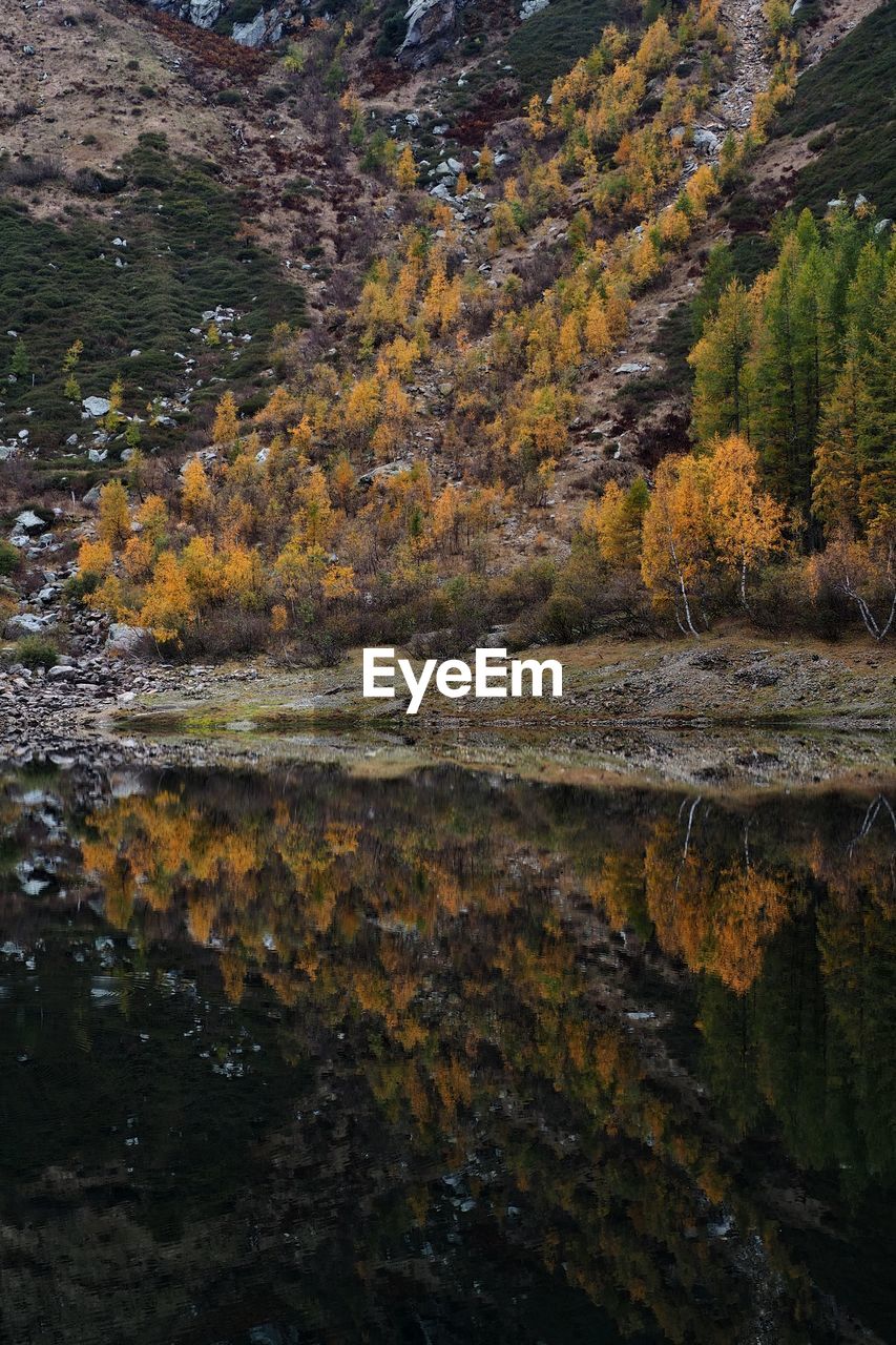 wilderness, reflection, beauty in nature, autumn, tree, plant, scenics - nature, water, nature, leaf, tranquility, no people, mountain, land, tranquil scene, forest, environment, landscape, non-urban scene, day, lake, outdoors, growth, rock, idyllic, mountain range, coniferous tree, remote, travel destinations, pinaceae