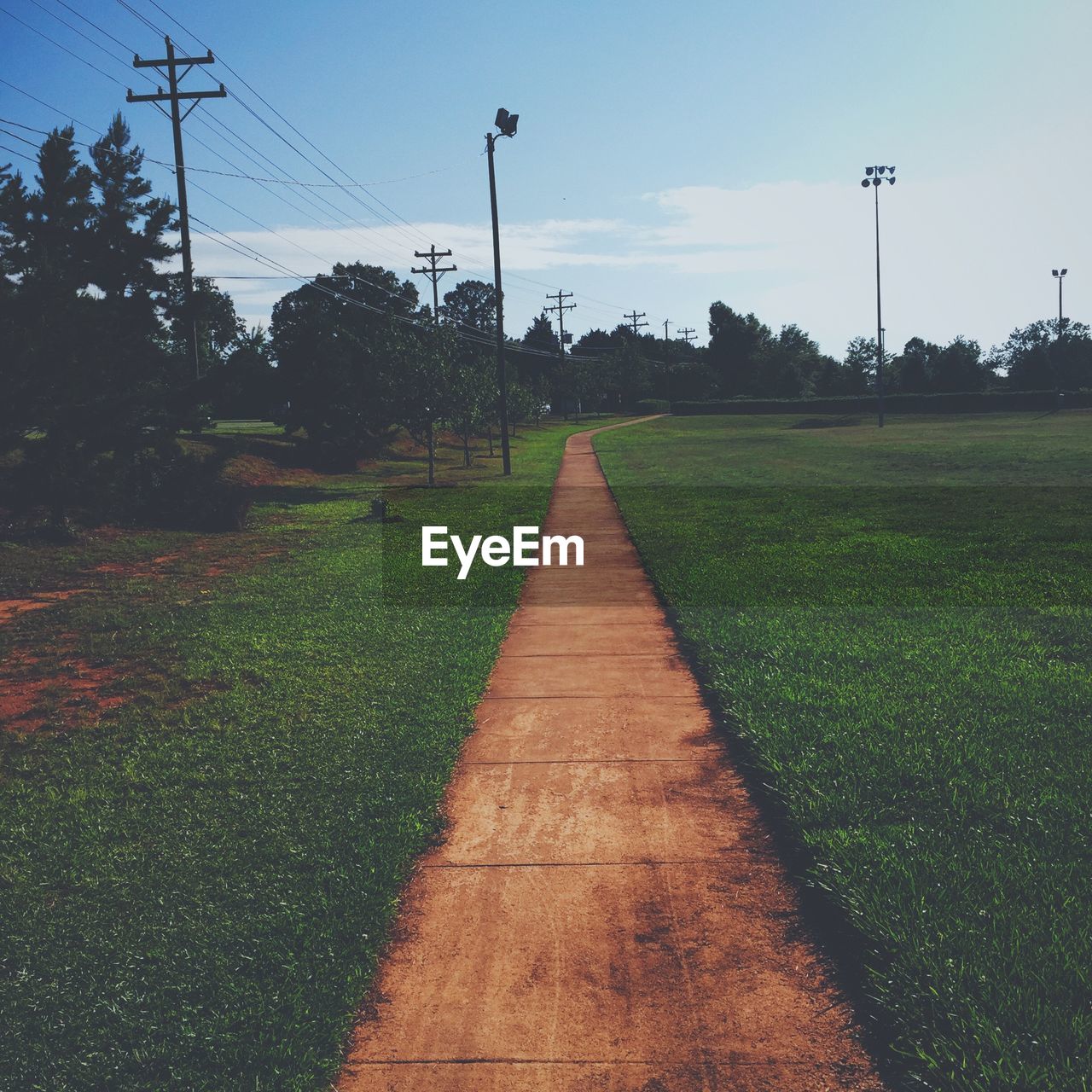 Walkway amidst grassy field