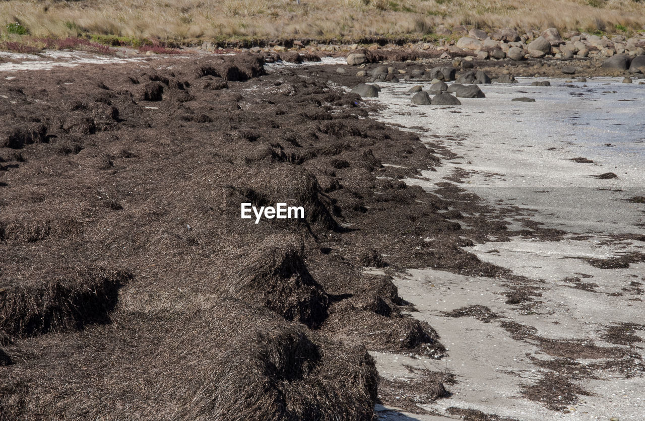 HIGH ANGLE VIEW OF ROCKS ON SHORE