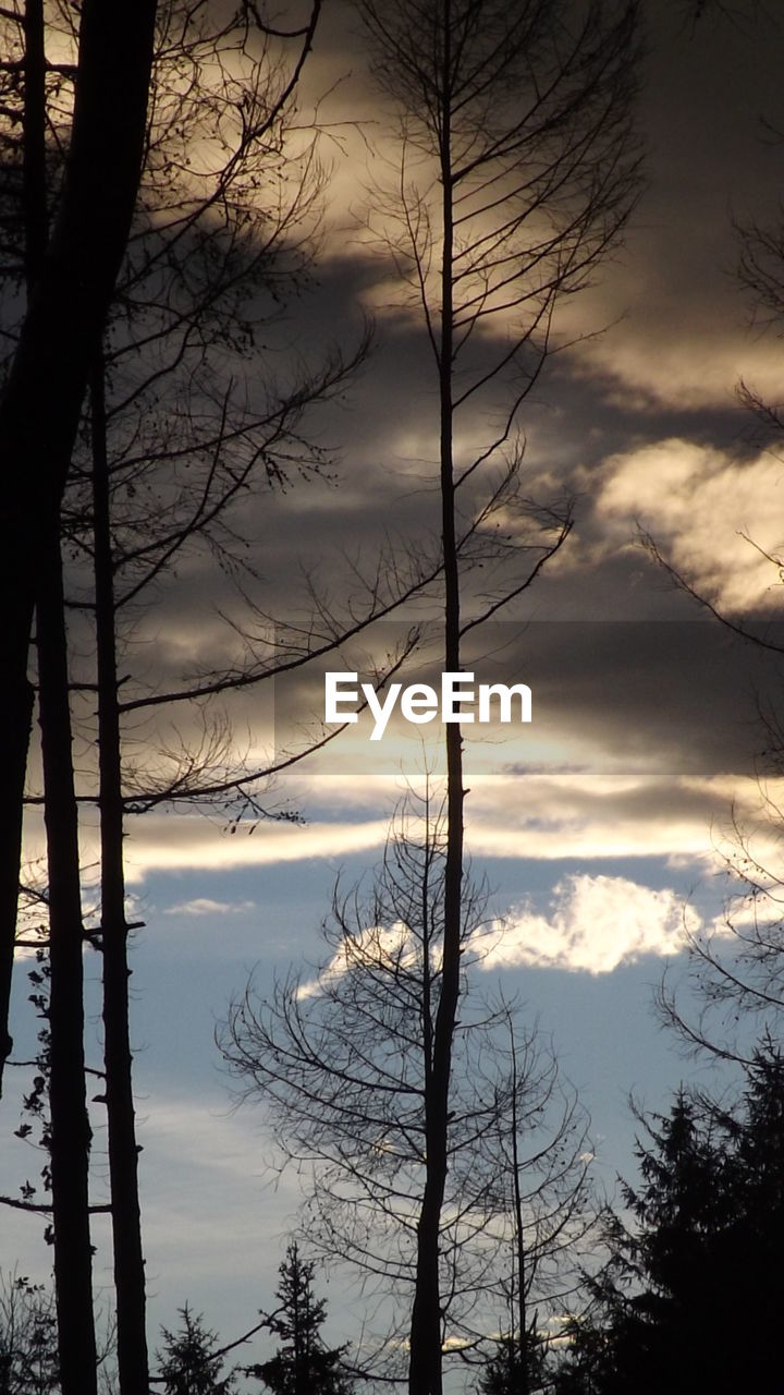 Low angle view of silhouette trees against cloudy sky at sunset