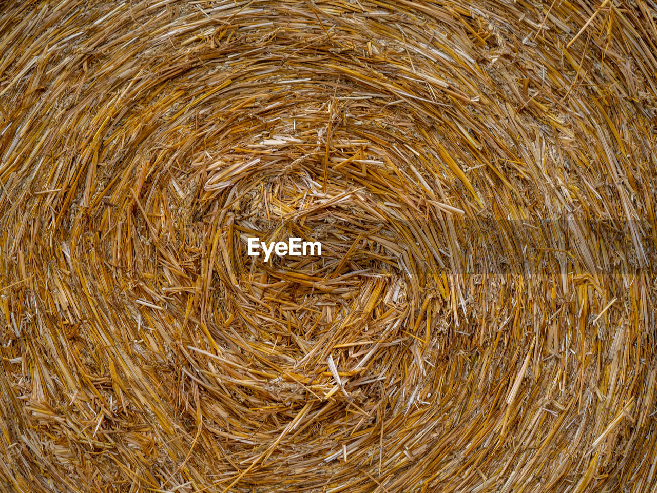 HIGH ANGLE VIEW OF HAY BALES IN FARM