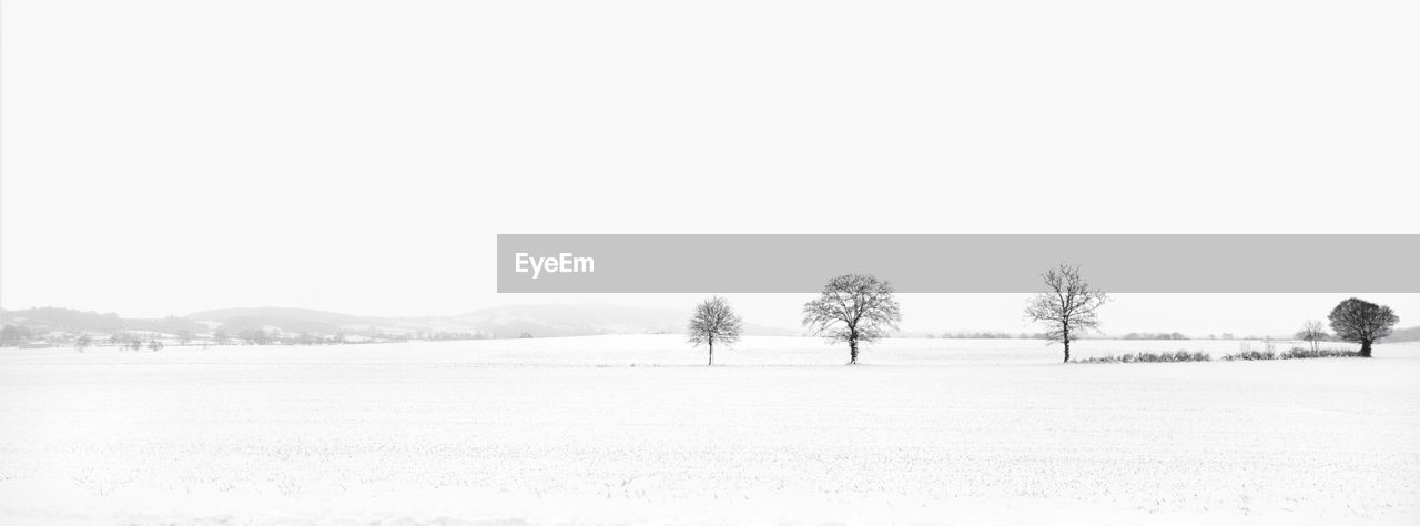 Trees on field against clear sky during winter