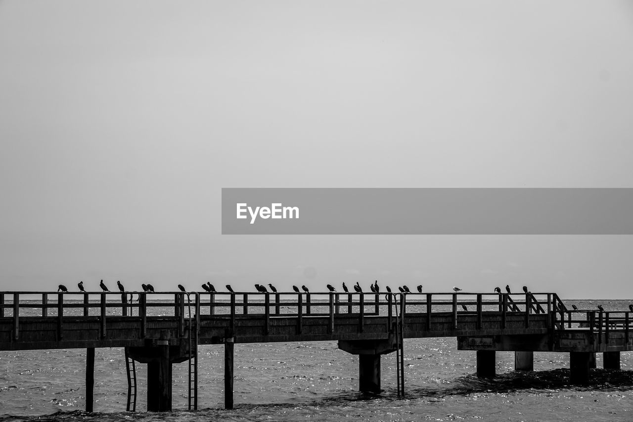 pier, water, sky, horizon, sea, nature, black and white, monochrome, architecture, copy space, monochrome photography, built structure, beach, beauty in nature, scenics - nature, morning, coast, tranquility, day, clear sky, land, outdoors, no people, tranquil scene, horizon over water, ocean, bridge, railing, wood, dusk, transportation, wave
