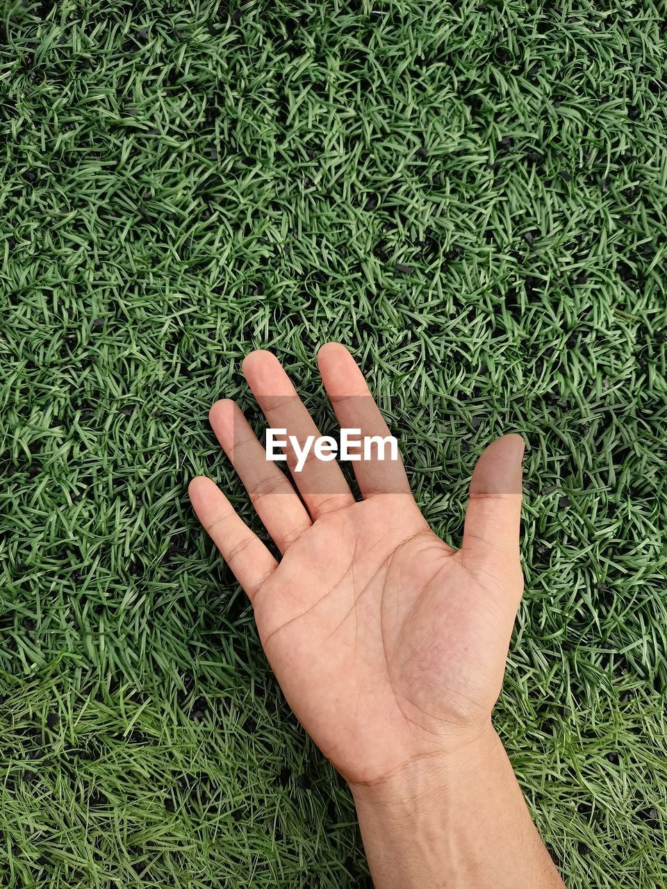 HIGH ANGLE VIEW OF HAND ON FIELD
