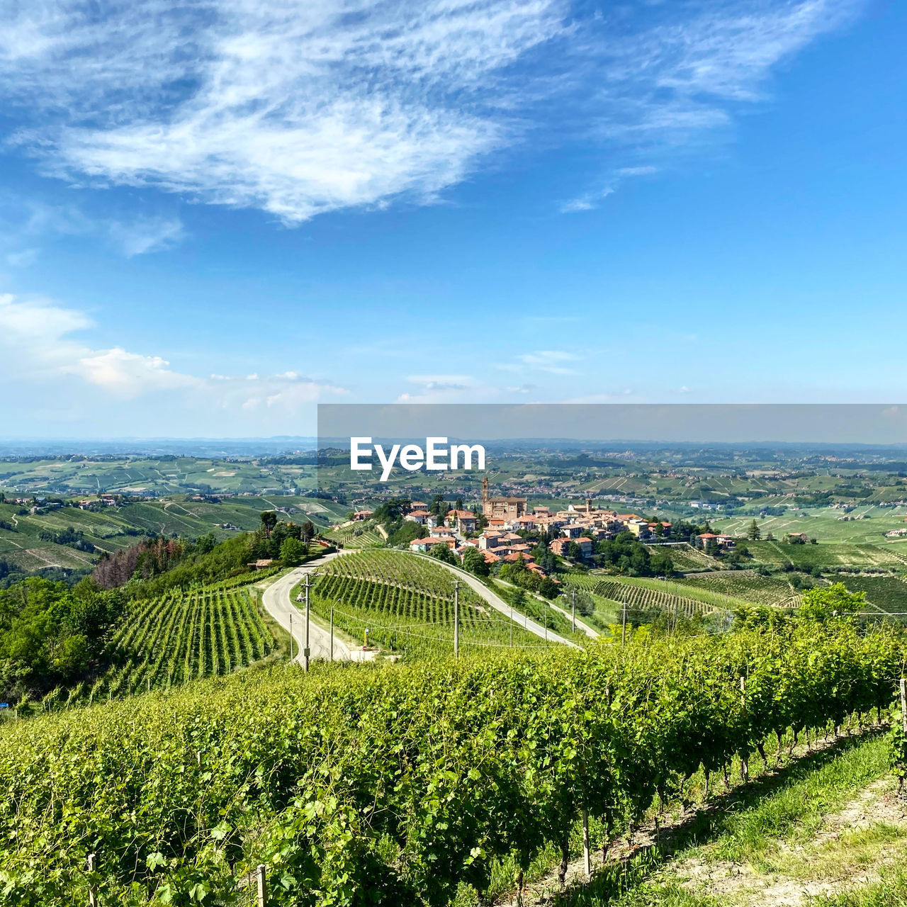 High angle view of vineyards by the hills against sky