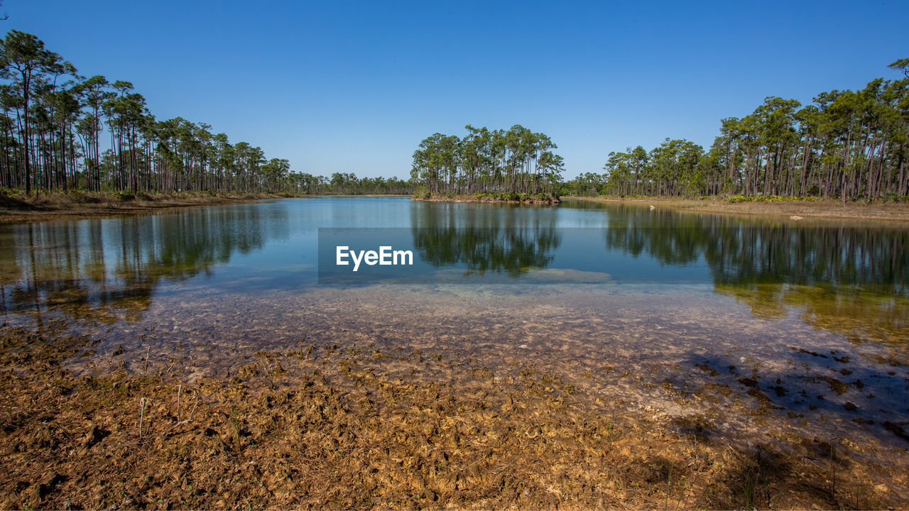 Long pine key lake landscape, everglades national park