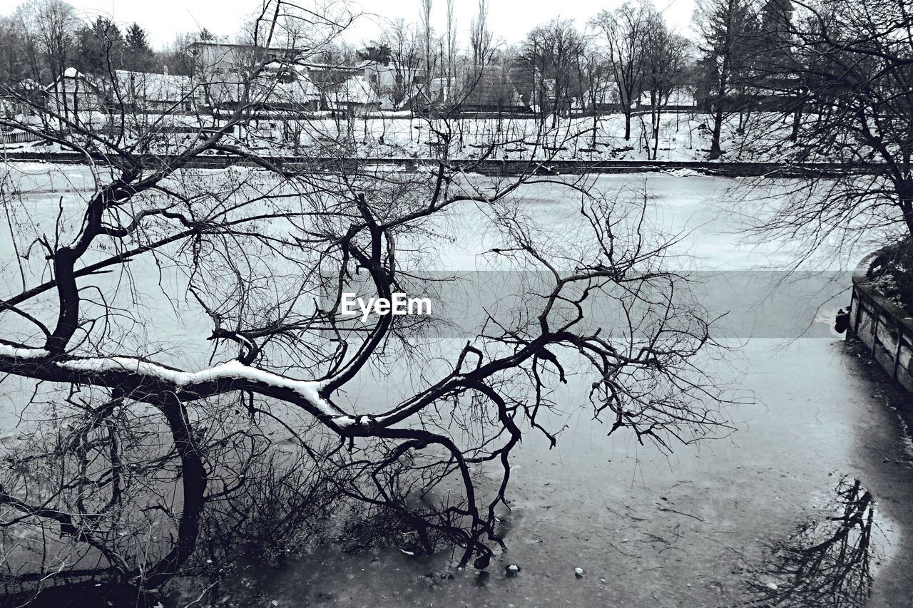 BARE TREE ON FROZEN RIVER AGAINST SKY