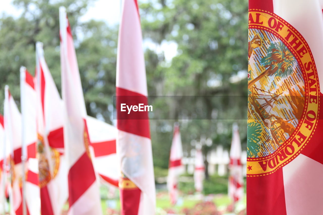 Close-up of florida state flags