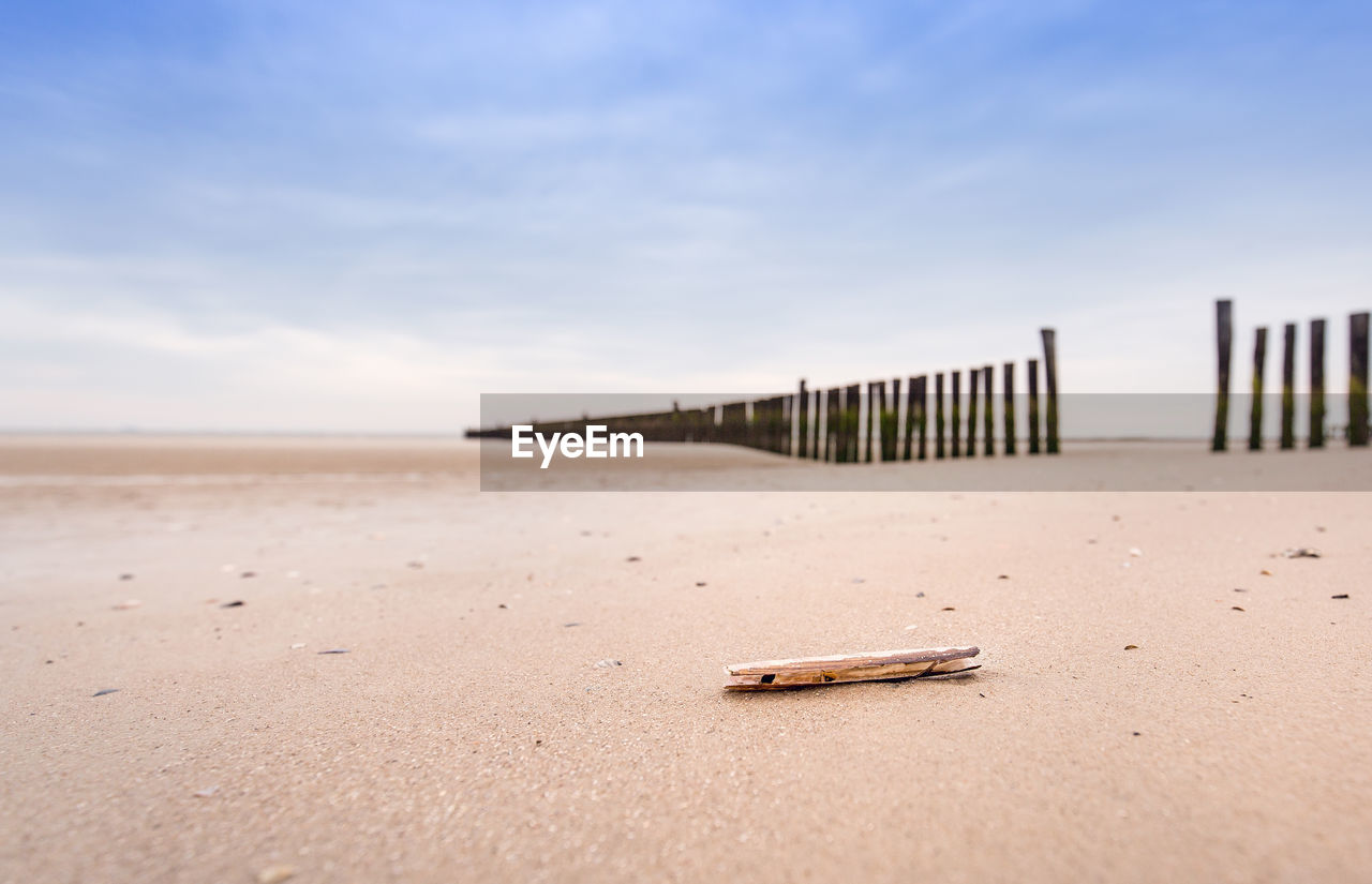 Driftwood on sand at beach against sky