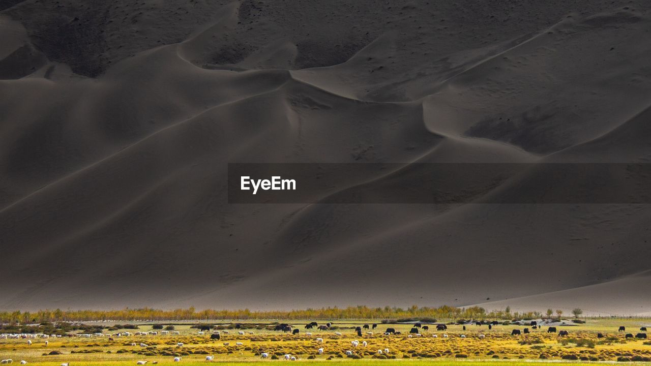 Scenic view of arid landscape