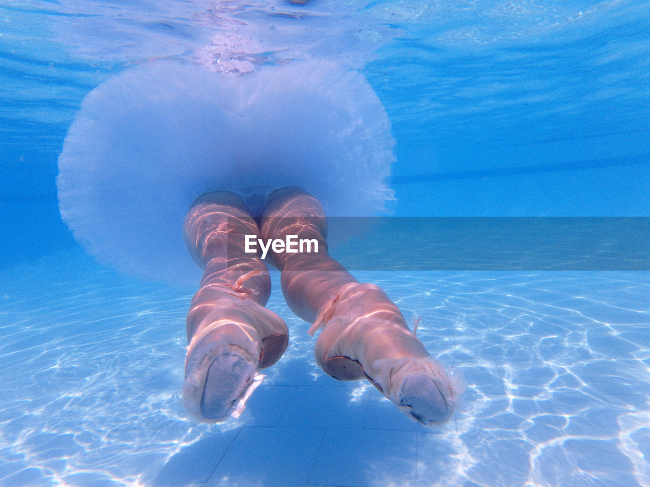 Woman legs in swimming pool