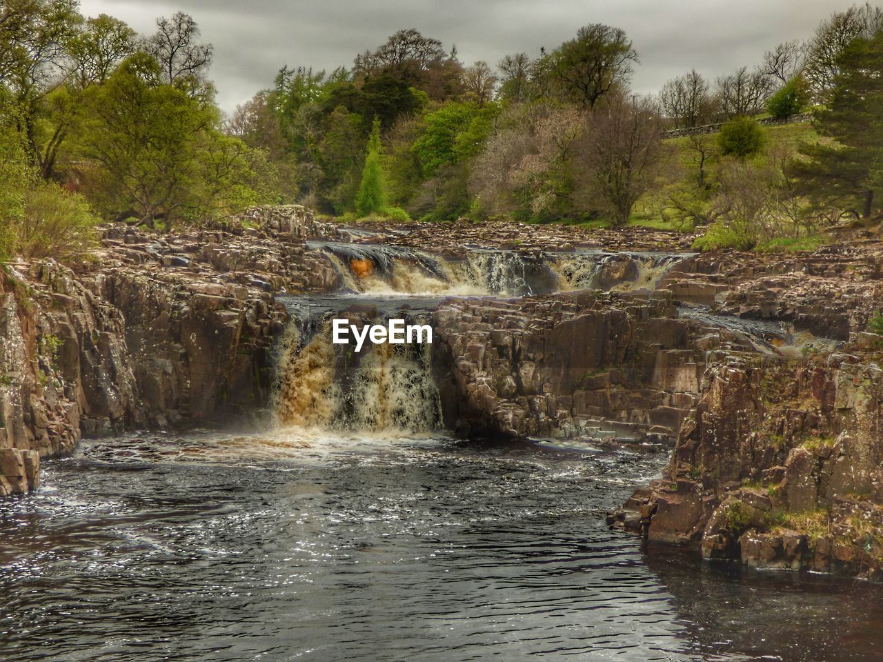 Scenic view of waterfall in forest