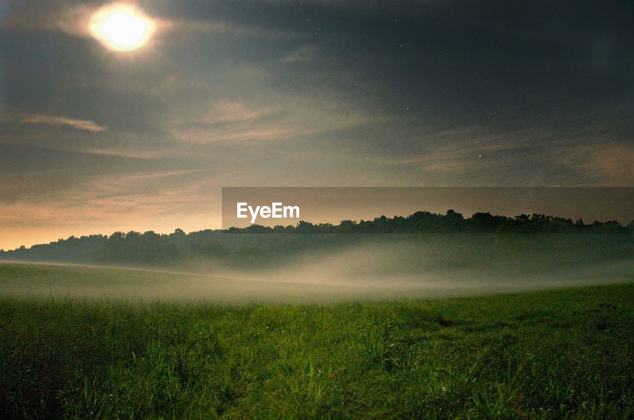 Field in fog at sunset