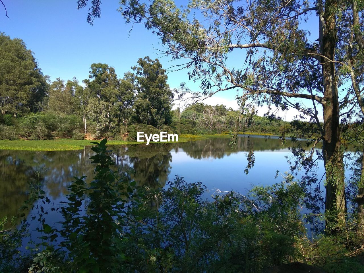 SCENIC VIEW OF LAKE BY TREES AGAINST SKY