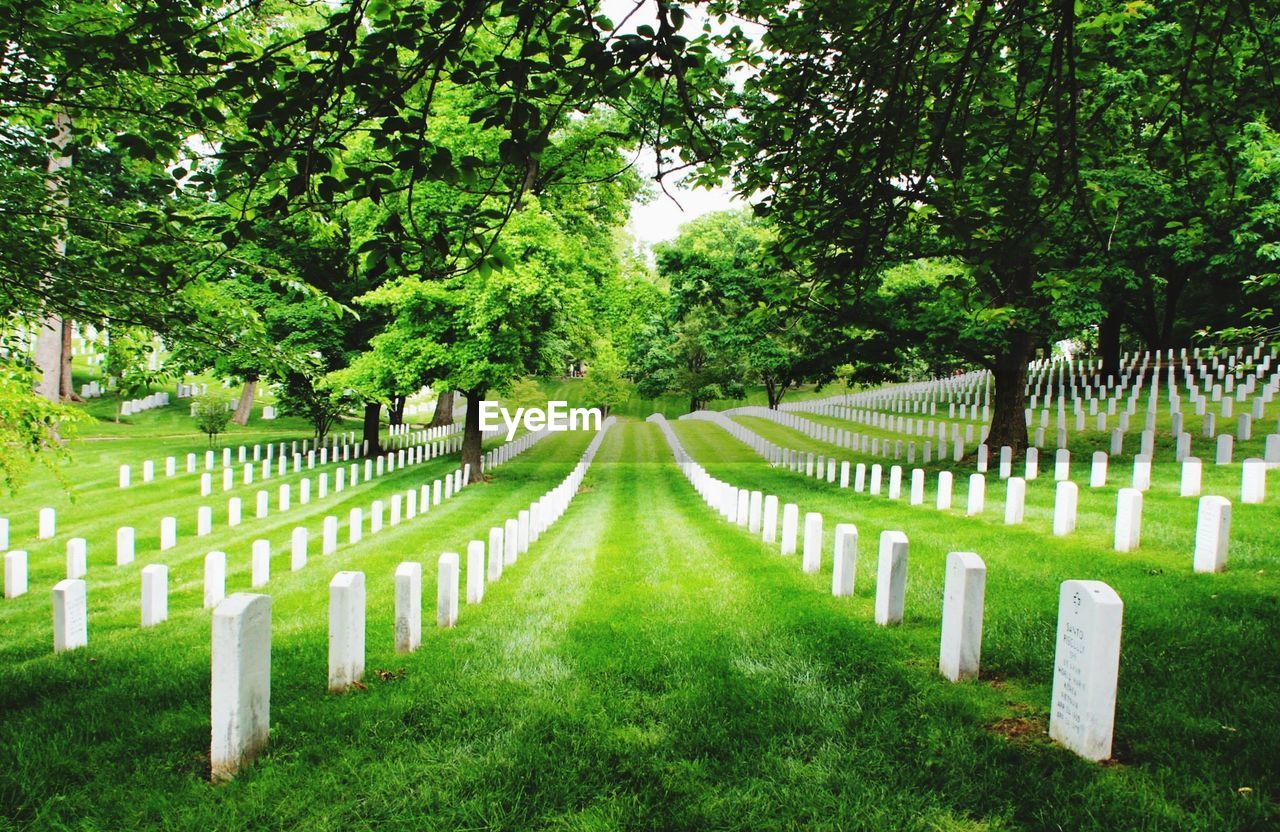 Tombstone at arlington national cemetery