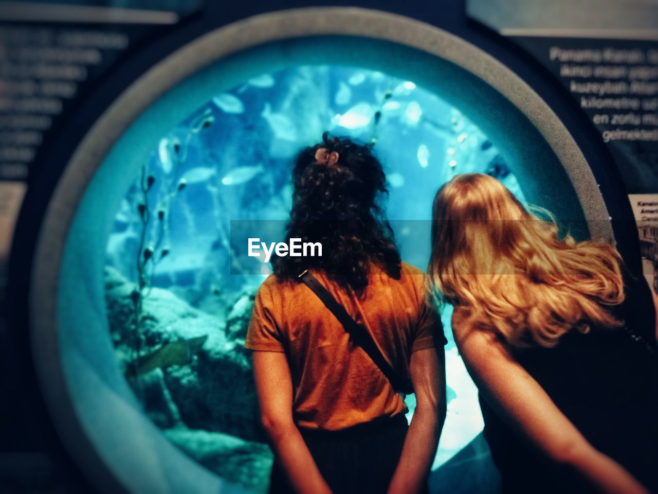 REAR VIEW OF WOMEN IN AQUARIUM