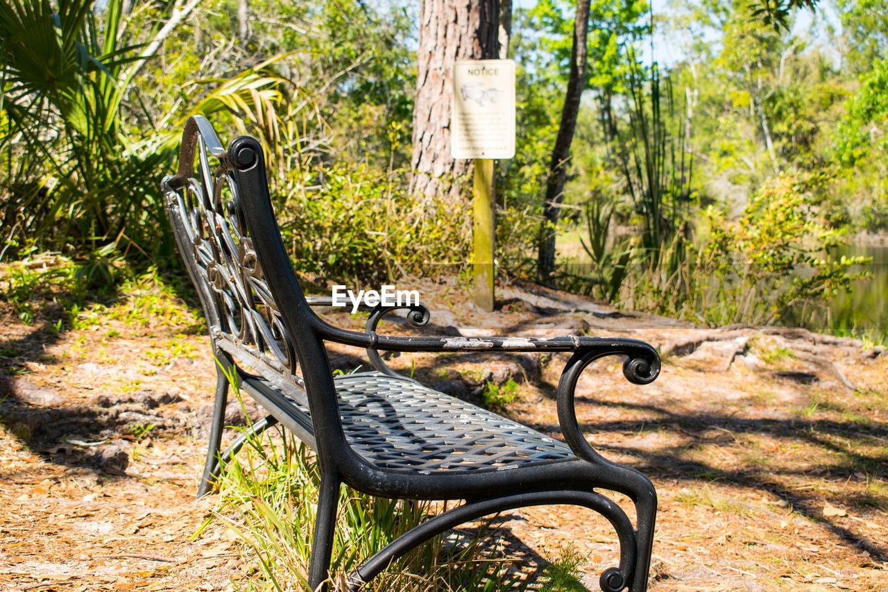 EMPTY BENCH BY TREE TRUNK