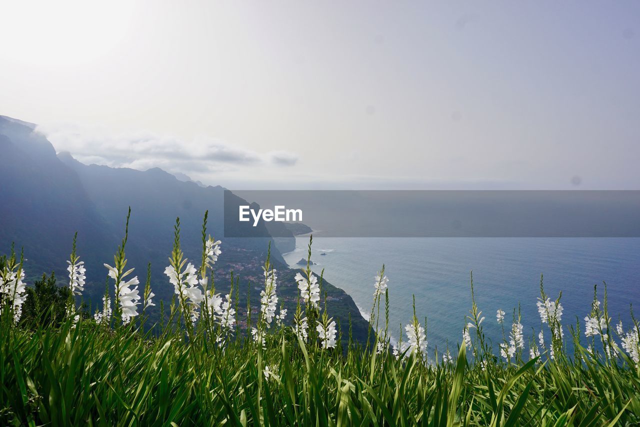 Scenic view of sea and mountains against sky