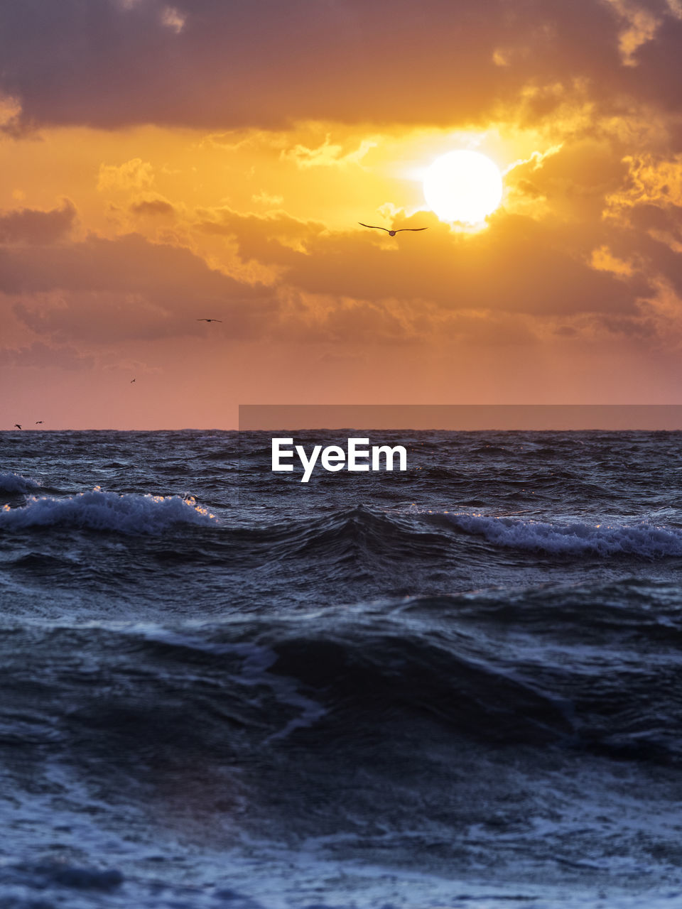 SCENIC VIEW OF SEA AGAINST ORANGE SKY DURING SUNSET