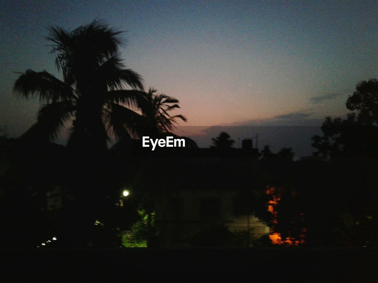 SILHOUETTE OF PALM TREES AT SUNSET