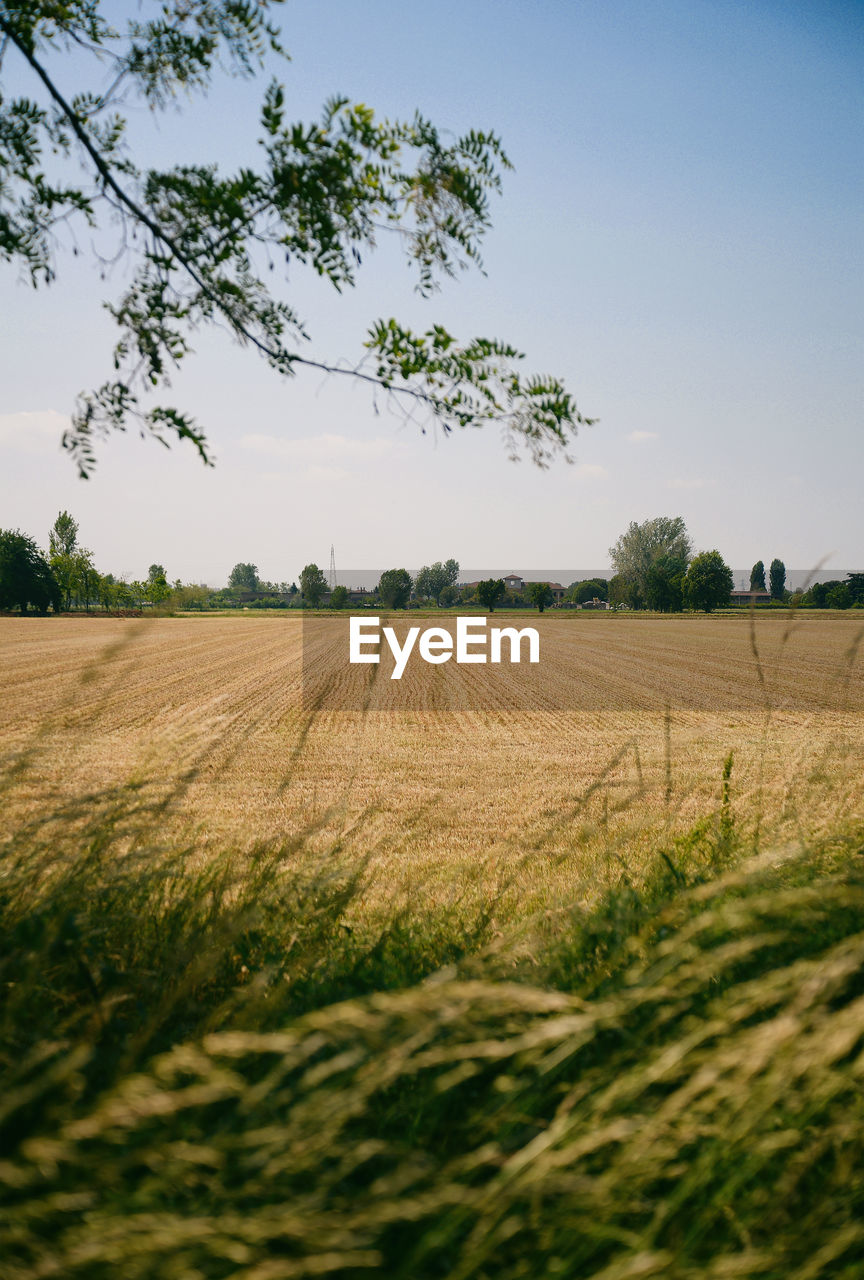 Beautiful spring landscape on rural countryside